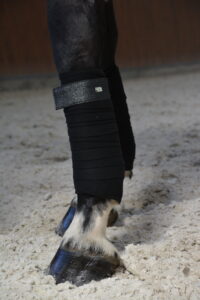 Mystery Moonlight Fásli