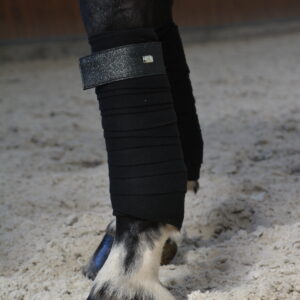 Mystery Moonlight Fásli