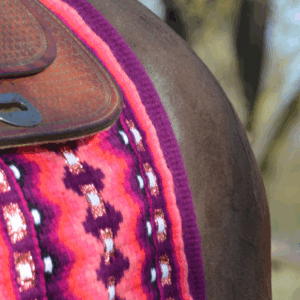 Showpad-ek / Wool pad-ek